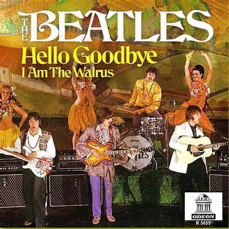 Web Pic - Hello Goodby (Sleeve) 2