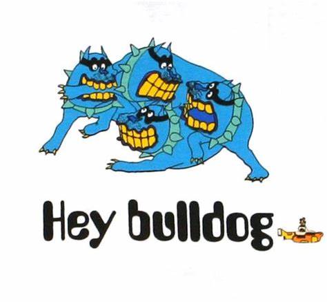 Web Pic - Hey Bulldog